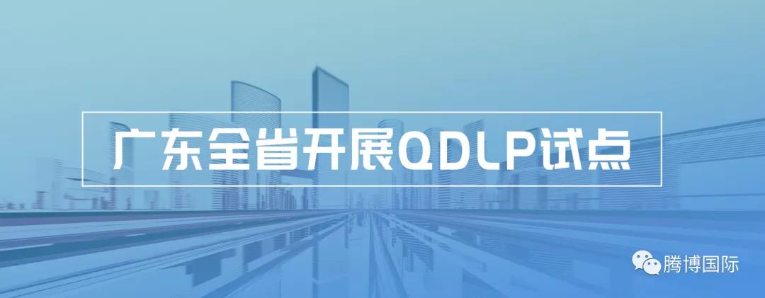广东全省开展qdlp试点